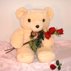 3 g�l ve oyuncak ayicik   Ankara etimesgut �i�ek , �i�ek�i , �i�ek�ilik 