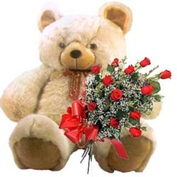 kocaman ayicik ve 10 g�l   Ankara etimesgut �i�ek , �i�ek�i , �i�ek�ilik 