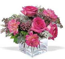  Ankara cicekciler , cicek siparisi  cam i�erisinde 5 g�l 7 gerbera �i�egi