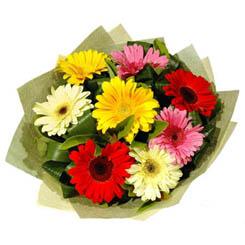9 adet karisik gerbera demeti  Ankara hacettepe �i�ek ma�azas� , �i�ek�i adresleri 