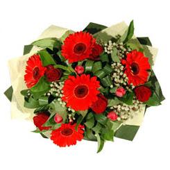  Ankara demetevler ucuz �i�ek g�nder   5 adet kirmizi g�l 5 adet gerbera demeti
