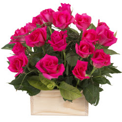 12 adet pembe g�llerden sepet tanzimi  Ankara yurti�i ve yurtd��� �i�ek sipari�i 