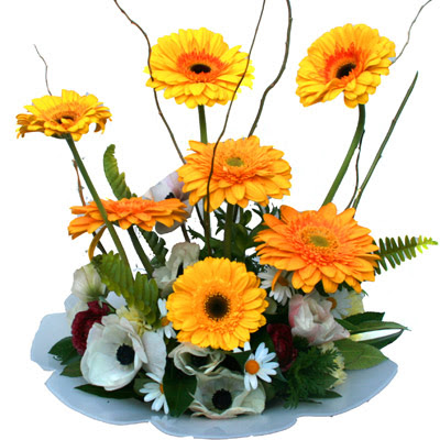 camda gerbera ve mis kokulu kir �i�ekleri  Ankara eryaman �i�ek�i telefonlar� 