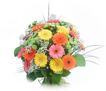 13 adet gerbera �i�egi buketi  Ankara yenimahalle online �i�ek g�nderme sipari� 