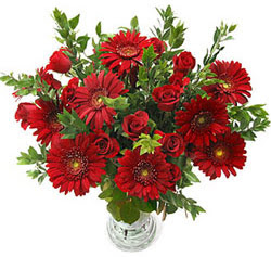 5 adet kirmizi g�l 5 adet gerbera aranjmani  Ankara ivedik hediye �i�ek yolla 