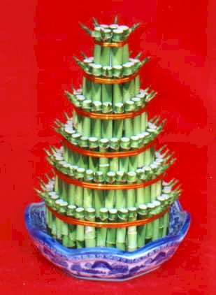 Lucky Bamboo sans melegi �i�egi  Ankara macunk�y �i�ek�iler 