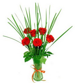  Ankara etimesgut �i�ek , �i�ek�i , �i�ek�ilik  6 adet k�rm�z� g�llerden vazo �i�e�i