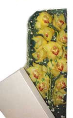  Ankara sincan �i�ek g�nderme  Kutu i�erisine dal cymbidium orkide