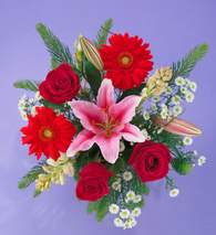  Ankara demetevler ucuz �i�ek g�nder  Gerbera g�l ve lilyum buketi