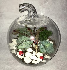 K���k terrarium elma 3 kakt�s  Ankara hacettepe �i�ek ma�azas� , �i�ek�i adresleri 