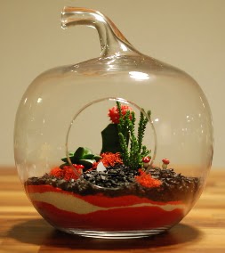 Elma Terrarium 3 kakt�s orta boy  Ankara 14 �ubat sevgililer g�n� �i�ek 