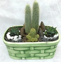 Seramik i�erisinde 5 kakt�sl� terrarium  Ankara ostim �i�ek g�nderme sitemiz g�venlidir 