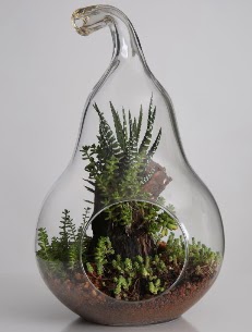 Armut cam k���k boy terrarium  Ankara �mitk�y �i�ek servisi , �i�ek�i adresleri 