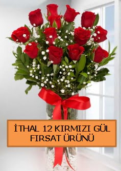  �thal k�rm�z� 12 adet kaliteli g�l  Ankara demetevler ucuz �i�ek g�nder 