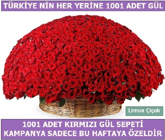1001 Adet krmz gl Bu haftaya zel  Ankara yenimahalle nternetten iek siparii 