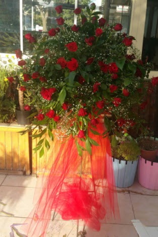 71 adet k�rm�z� g�lden ferf�rje �i�e�i  Ankara gimat �i�ek sat��� 