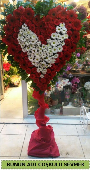 Co�kulu bir a�k �i�e�i  Ankara demetevler ucuz �i�ek g�nder 
