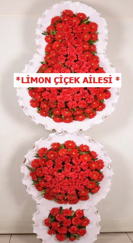 3 katl� k�rm�z� d���n a��l�� �i�e�i  Ankara sincan �i�ek g�nderme 