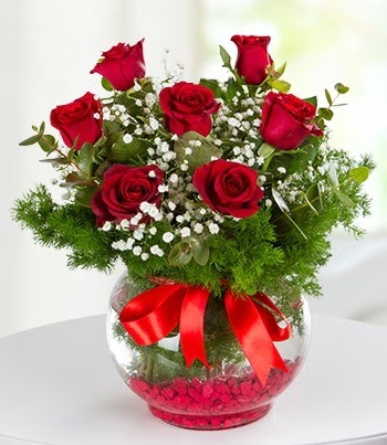 fanus Vazoda 7 G�l  Ankara etimesgut �i�ek , �i�ek�i , �i�ek�ilik  
