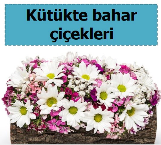 K�t�k i�erisinde k�r �i�ekleri  Ankara etimesgut �i�ek , �i�ek�i , �i�ek�ilik 