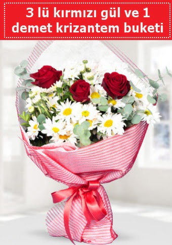 3 adet k�rm�z� g�l ve krizantem buketi  Ankara ostim �i�ek g�nderme sitemiz g�venlidir 
