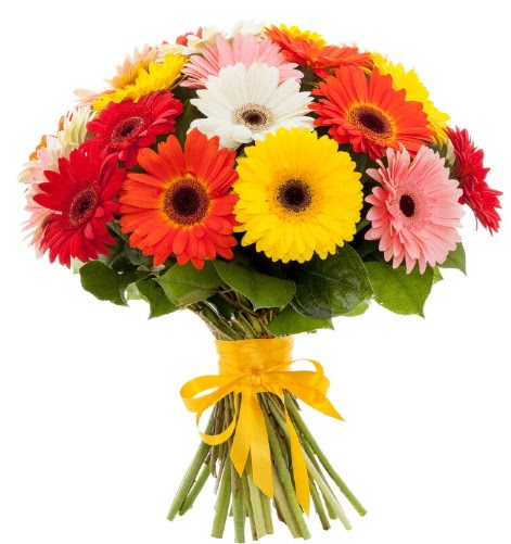 Gerbera demeti buketi  Ankara gimat �i�ek sat��� 