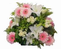  Ankara ergazi kaliteli taze ve ucuz �i�ekler  G�l kazablanka gerbera sepet �i�ek modeli