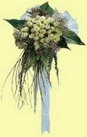 Beyaz g�llerden gelin eli