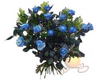  Ankara etimesgut �i�ek , �i�ek�i , �i�ek�ilik  11 adet mavi g�l �zel tanzim