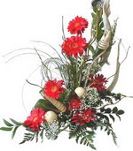  Ankara ergazi kaliteli taze ve ucuz �i�ekler  Kirmizi gerbera �zel tanzim
