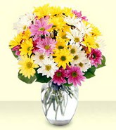  Ankara �entepe internetten �i�ek sipari�i  mevsim �i�ekleri mika yada cam vazo