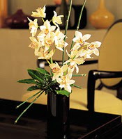  Ankara macunky iekiler  cam yada mika vazo ierisinde dal orkide