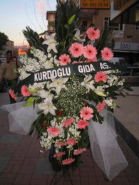 kazablanka,gerbera,sebboy ferforje  Ankara gazi mahallesi �i�ek�i ma�azas� 