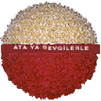 arma anitkabire - mozele i�in  Ankara ostim �i�ek g�nderme sitemiz g�venlidir 