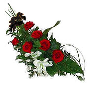 7 adet g�l ve kazablanka   Ankara demetevler ucuz �i�ek g�nder 