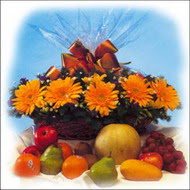 sepette gerbera ve meyvalar   Ankara gazi mahallesi �i�ek�i ma�azas� 