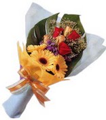 g�ller ve gerbera �i�ekleri   Ankara ostim �i�ek g�nderme sitemiz g�venlidir 