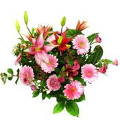 lilyum ve gerbera �i�ekleri - �i�ek se�imi -  Ankara sincan �i�ek g�nderme 