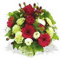 karanfil gerbera ve g�ller - d�s�nenelere �zel -  Ankara sincan �i�ek g�nderme 