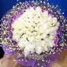 71 adet beyaz g�l buketi   Ankara etimesgut �i�ek , �i�ek�i , �i�ek�ilik 