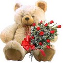kocaman ayicik ve 10 g�l   Ankara etimesgut �i�ek , �i�ek�i , �i�ek�ilik 