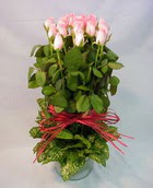13 adet pembe g�l silindirde   Ankara bat�kent �i�ek yolla 