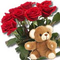 11 adet g�l ve ayicik buket   Ankara bat�kent �i�ek yolla 
