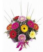 karisik gerbera �i�ekleri  Ankara bat�kent �i�ek yolla 