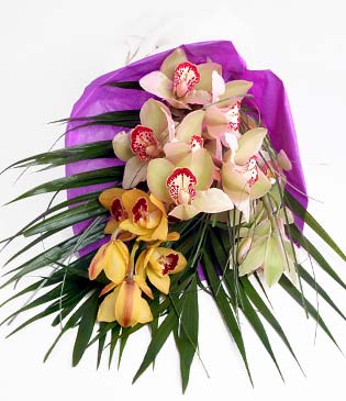  Ankara cicekciler , cicek siparisi  1 adet dal orkide buket halinde sunulmakta