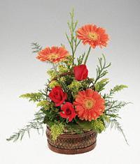  Ankara cicekciler , cicek siparisi  sepet i�erisinde 3 g�l ve 3 gerbera tanzimi