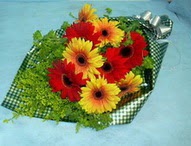 t�l i�erisinde gerbera �i�ekleri 11 adet  Ankara cicek , cicekci 