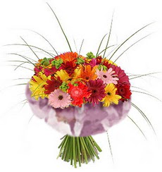 karisik gerbera demeti 15 adet gerberalardan  Ankara gazi mahallesi �i�ek�i ma�azas� 