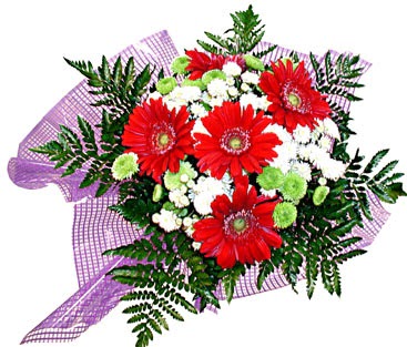 gerbera ve krizantem demeti  Ankara gazi mahallesi �i�ek�i ma�azas� 