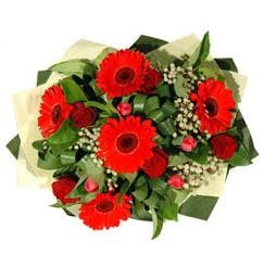  Ankara demetevler ucuz �i�ek g�nder   5 adet kirmizi g�l 5 adet gerbera demeti